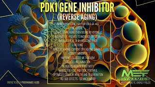 Reverse Aging PDK1 Gene Inhibitor Scientifically Proven [upl. by Leigha583]