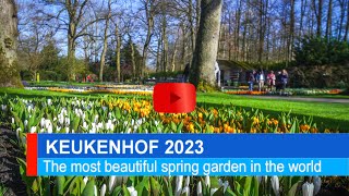 Keukenhof 2023 [upl. by Leunamesoj597]