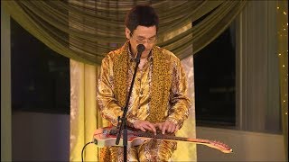 PPAP Acoustic guitar version PIKOTARO（ピコ太郎 [upl. by Kciwdahc]