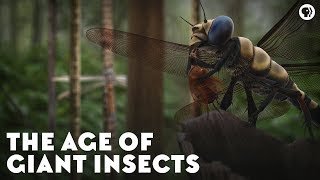 The Age of Giant Insects [upl. by Agueda]