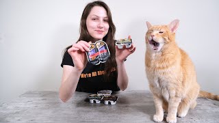 Sheba Cat Food Review Analysis and Taste Test [upl. by Neyr]