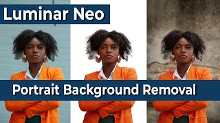 A Beginners Guide To Luminar Neos Catalog [upl. by Kaila]