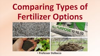 Comparing Types of Fertilizer Options [upl. by Artenahs296]