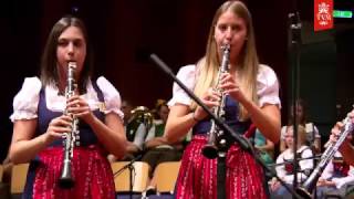 HolzmusiKärnten Hipflhütten Polka [upl. by Nahshon]