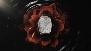 The World of Franck Muller 2018 [upl. by Einaoj]