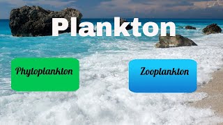 Difference between Zooplankton and Phytoplankton [upl. by Mode]