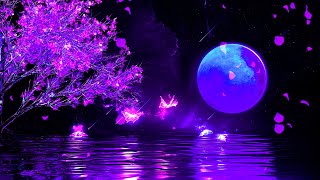 Good Night Music  Calm Deep Sleep Music  528Hz Positive Energy Meditation Music [upl. by Alemrac]