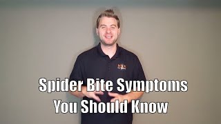 Spider Bite Symptoms You Should Know [upl. by Etnud649]