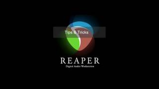 Reaper DAW Fast transposing Audio Items [upl. by Ivor]