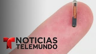 Implantan microchips a empleados de una empresa en Wisconsin  Noticiero  Noticias Telemundo [upl. by Cuttie]