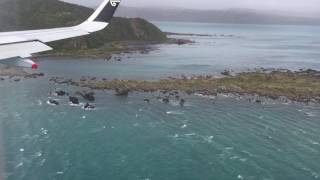 Freaky landing in Wellington [upl. by Enorej]