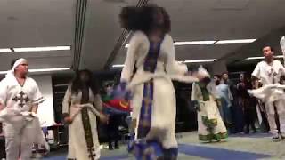 Ethiopian amp Eritrean Culture Night Dance 2019 [upl. by Namialus]