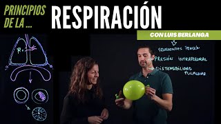 Ventilación pulmonar principios básicos de la respiración [upl. by Marcy357]