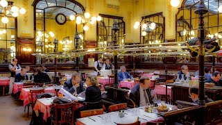 Lunch at Bouillon Chartier Paris [upl. by Wardieu]