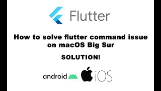 How to solve flutter command issue on macOS Big Sur zsh command not found flutter  Resolved [upl. by Weisbart123]