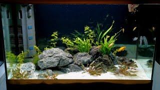 Planted Cichlid Community Tank Setup  TANGANYIKAN CICHLIDS  Oase Styleline 125 [upl. by Ingeborg]