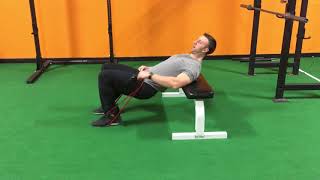 Hip Thrust Variations for Glute Growth [upl. by Orlov]