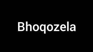 Bhoqozela official Song [upl. by Skeie62]