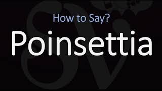 How to Pronounce Poinsettia CORRECTLY [upl. by Rese348]