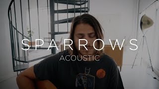 Sparrows Acoustic  Cory Asbury [upl. by Anaeel]