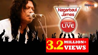 Nagarbaul James live  31st night 2014  Coxsbazar [upl. by Nibas105]