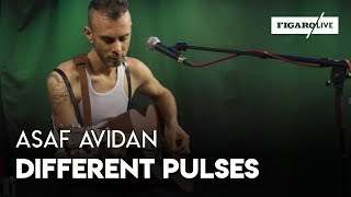 Asaf Avidan  Different Pulses  Le Live [upl. by Avonasac]