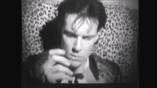 The CRAMPS  Human Fly Official Video [upl. by Gavrielle914]