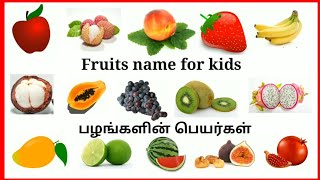 FRUITS NAME  FRUITS NAME IN ENGLISHSPELLING  FLASHCARDS  TAMIL FRUITS NAME பழங்கள் [upl. by Atiuqel977]