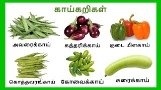 காய் காய் காய்கறிகள்  Learn vegetables names in Tamil for kids and children  Tamilarasi [upl. by Seidler]