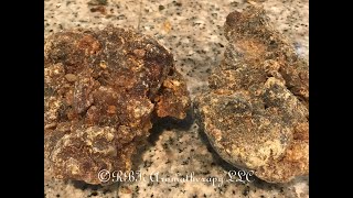 Myrrh Video MyrrhCommiphora myrrha What is this resin and how to use it [upl. by Tacye]