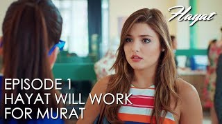 Hayat will work for Murat  Hayat Episode 1 Hindi Dubbed Hayat [upl. by Aliahkim]