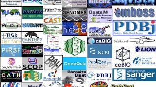 Bioinformatics part 2 Databases protein and nucleotide [upl. by Machutte856]