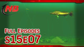 Drop Shot Walleyes  Season 15 Episode 7 [upl. by Vivle400]