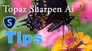 TOPAZ SHARPEN AI Sharpening TIPS [upl. by Anilah]