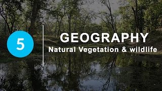 Natural Vegetation and Wildlife  Chapter 5 Geography NCERT class 9 [upl. by Eednarb684]