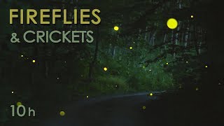 Fireflies amp Crickets  Calming Nature Night Sounds amp Sights for Sleep amp Relaxation  10 Hours [upl. by Enerual]