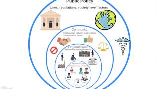 Intro to the Ecological Model [upl. by Schertz]