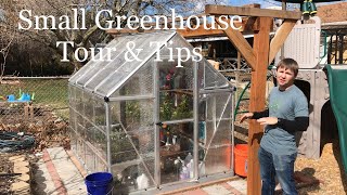 Small Greenhouse Tour amp Tips [upl. by Ahsinoj]