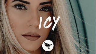 Kim Petras  Icy Lyrics [upl. by Franklyn]