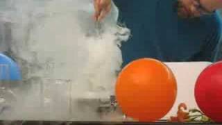 Liquid Nitrogen Demonstration [upl. by Claretta]