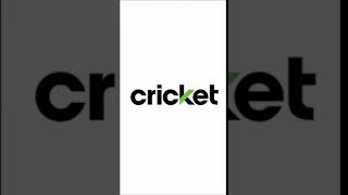 Newer Cricket Startup Sound HQ RIP [upl. by Arsi408]