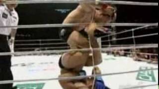 Wanderlei Silva Highlights [upl. by Niuqauj962]