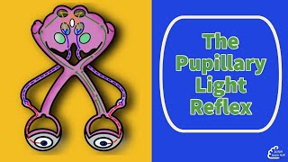 The Pupillary Light Reflex [upl. by Ardnasirk]