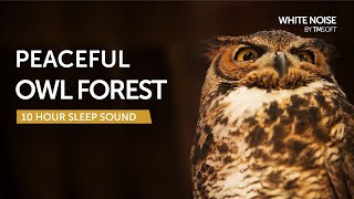 Peaceful Owl Forest Sleep Sound  10 Hours  Black Screen [upl. by Immac]