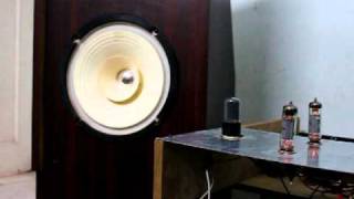 Diy Audio Speakers amp EL84 Tube Amplifier [upl. by Turley38]