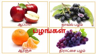 பழங்களின் பெயர்கள்பழங்கள்  palangal  fruits name in tamilprinit [upl. by Dranreb]