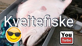 Kveitefiske Halibut fishing [upl. by Melba]