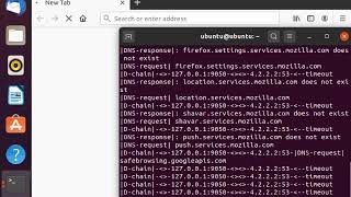 Installing Proxychains on Ubuntu Live [upl. by Yennej]