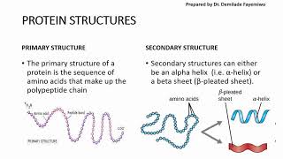 Chapter 23 Biological Molecules  Proteins [upl. by Enimisaj]