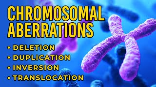 Chromosomal Aberrations  Deletion  Duplication  Inversion  Translocation [upl. by Nyleve951]